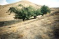 /album/resim-galerisi/a1-jpg1/